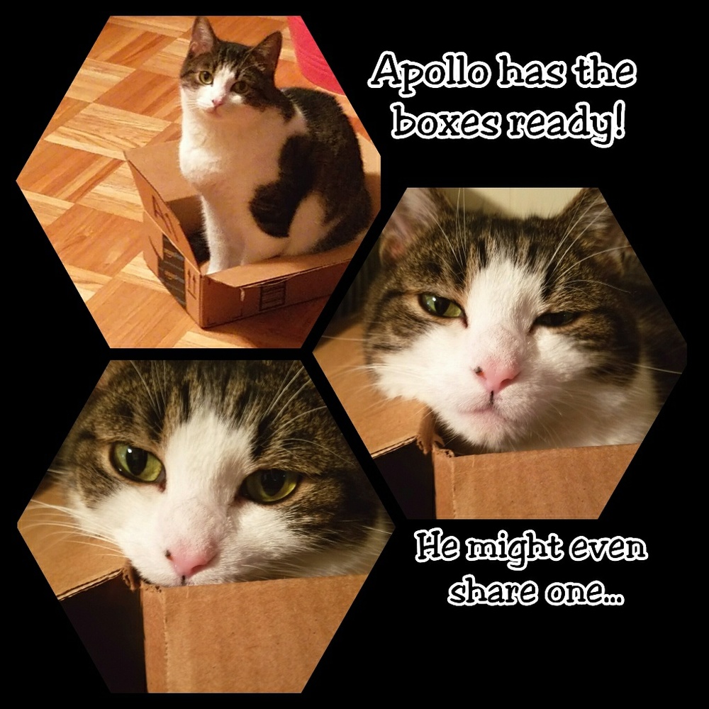 Thanks for shopping Small business